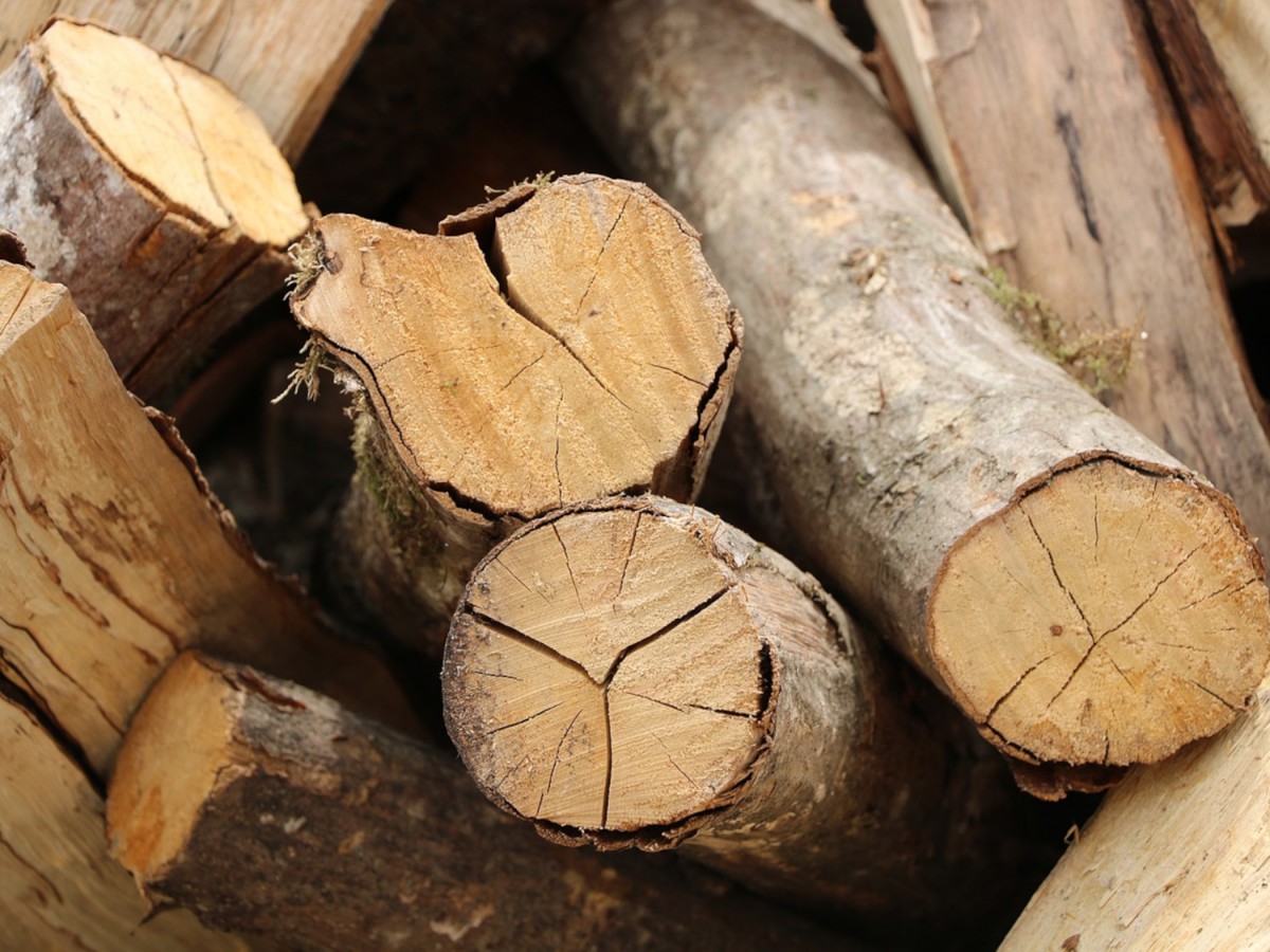 Valorisation de la filière bois